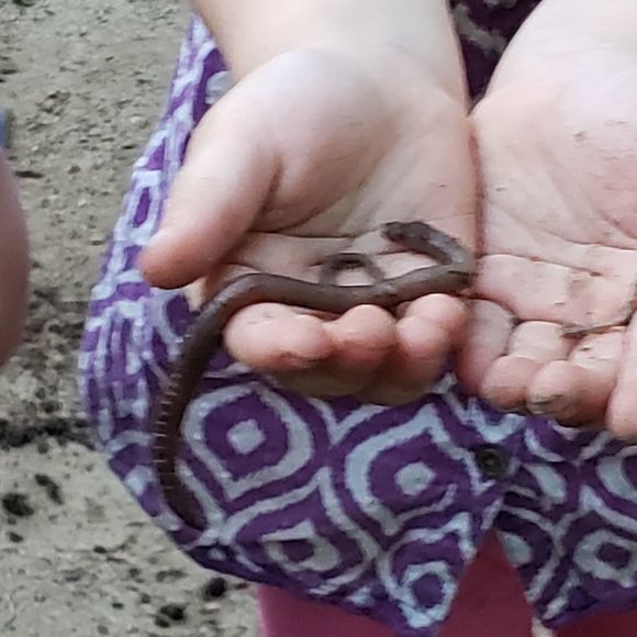 Meet your Posher, Kim - Picture 1 of 1